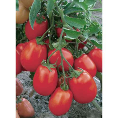 product1