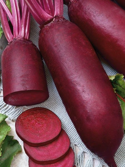 Буряк столовий циліндра (Елітсорт) 3 г