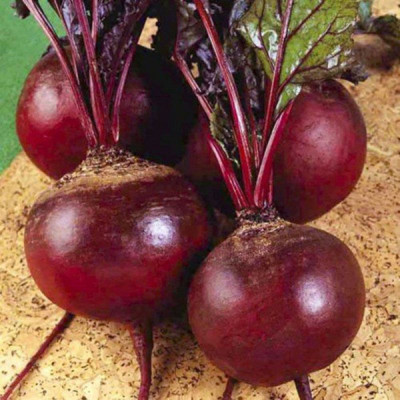 Буряк Детройт (Елітсорт) 3 г