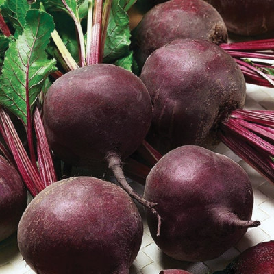 Буряк столовий Кардинал (Елітсорт) 3 г