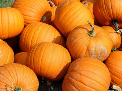 Гарбуз Титан (Флора маркет) 2 г