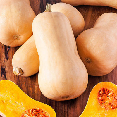 Гарбуз Новинка (Елітсорт) 20 шт