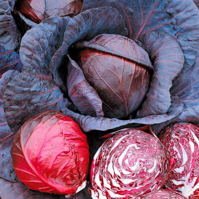 Капуста червоноголова Гранат (Елітсорт) 0.5 г