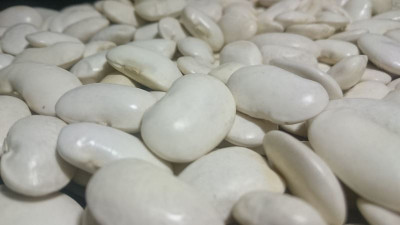 Квасоля Файний Ясь (Флора маркет) 30 г