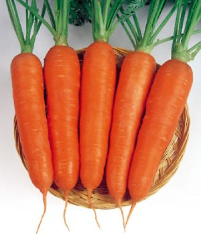 Морква Червоний велетень (Садиба) 10г