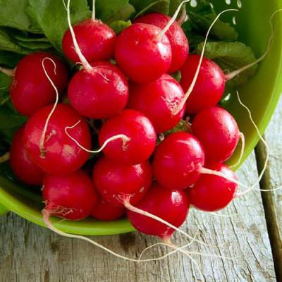 Редиска Сакса (Елітсорт) 3 г