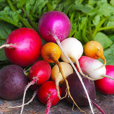 Редиска Асорті (Садиба) 3г