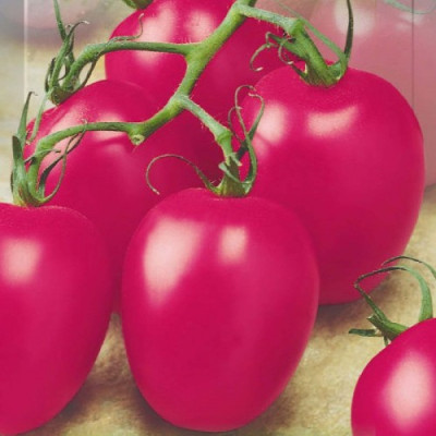 Томат Сливка гігант рожевий (Флора маркет) 0.1 г