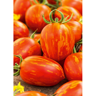 Томат Де Барао смугастий (Флора маркет) 0.1 г