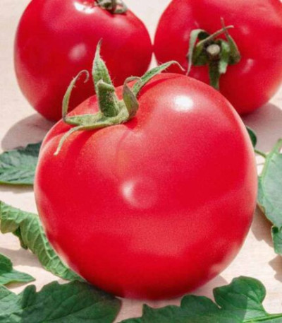 Томат Загадка (Флора маркет) 0.1 г