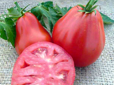 Томат Японський трюфель (Флора маркет) 0.1 г