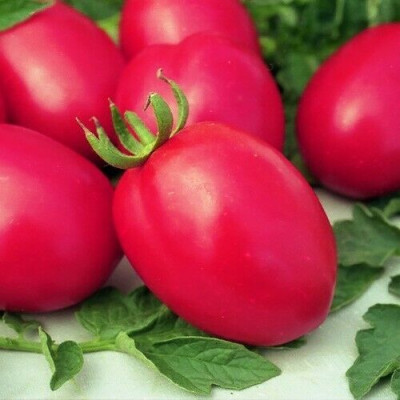 Томат Де Барао Царський рожевий (Елітсорт) 1 г