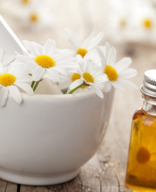 Ромашка лікарська - 0.1 грам. (Елітсорт)