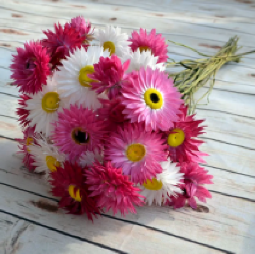 Геліптерум суміш сухоцвіт /0,3 г/ *ЕлітСорт*