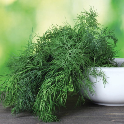 Кріп Салют (Елітсорт) 3 г