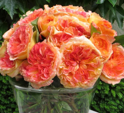 Анрі Дельбар (Henri Delbard)