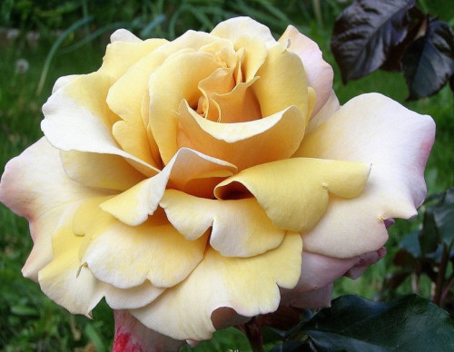 Меджик Момент