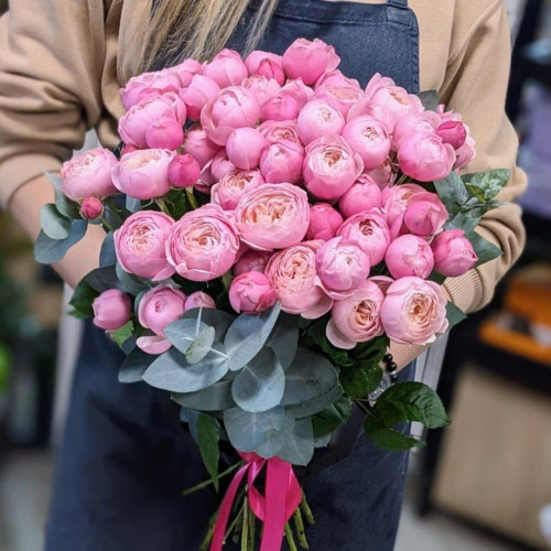 Сільва Пінк (Silva Pink )