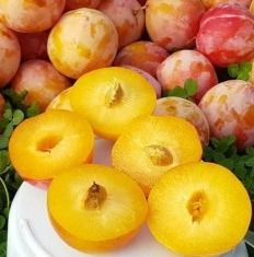 Байрон Голд