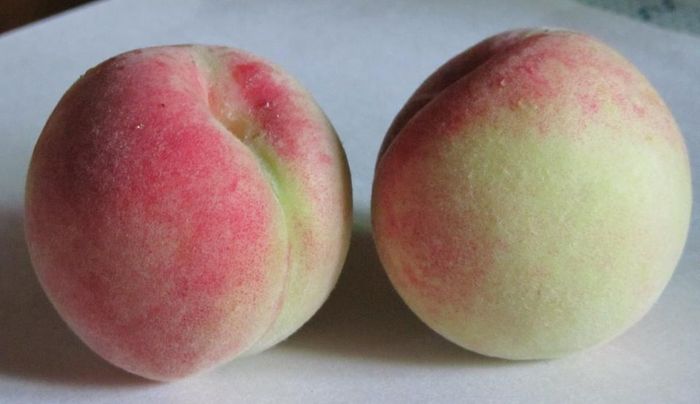 Дніпровський