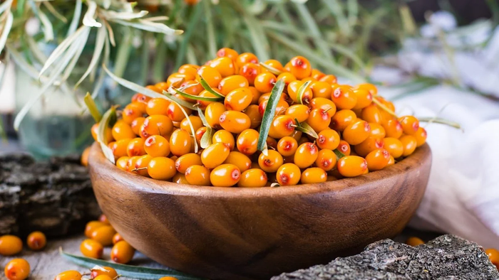 Обліпиха Медова (жіноча)