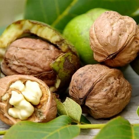 Прикарпатський