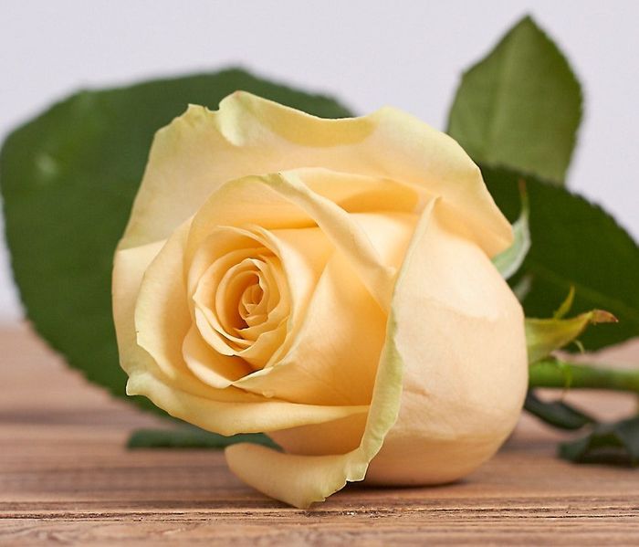 Піч Аваланч (Peach Avalanche)