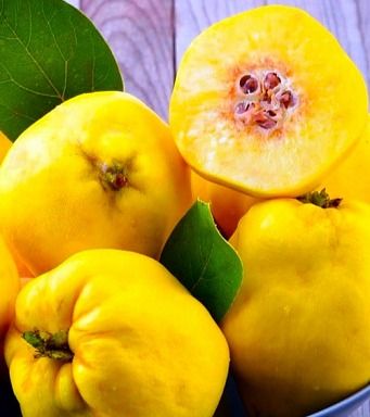 Академічна