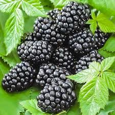 Небеса Можуть Почекати 1 річні