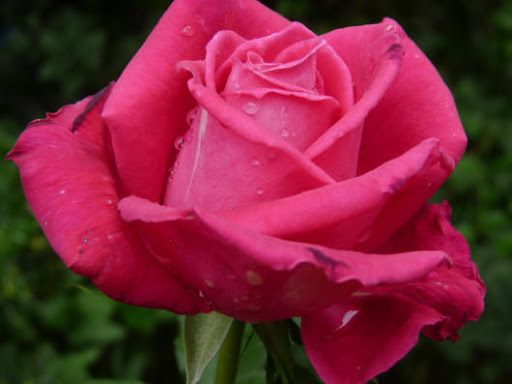 Ескалібан (Eskaliban)