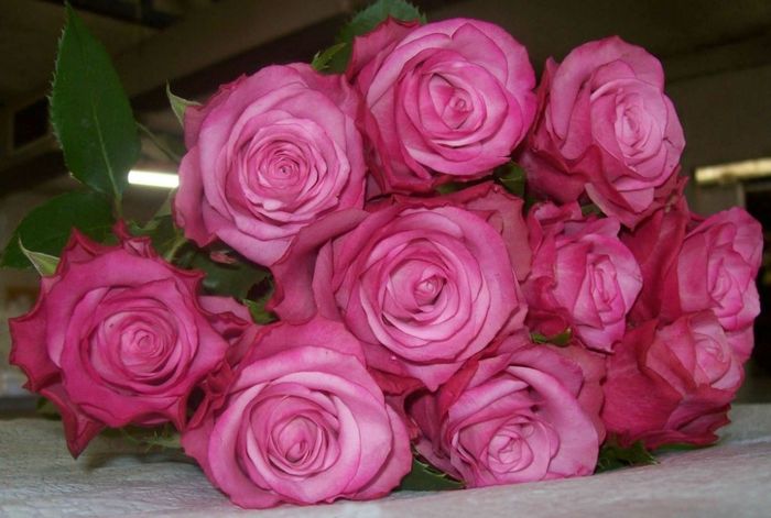 Діп Вотер (Deep Water)