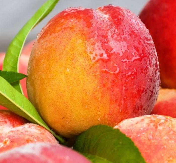 Старк Делішес