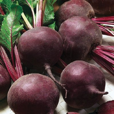 Буряк столовий Кардинал (Елітсорт) 3 г