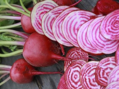 Буряк Борщовий (Елітсорт) 3 г