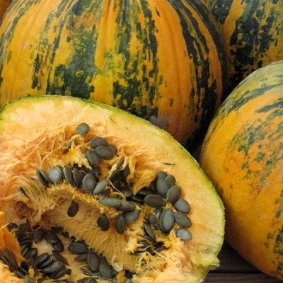 Гарбуз Голонасінний (Елітсорт) 10 шт