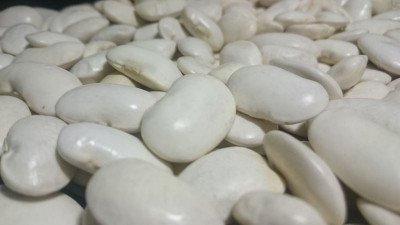 Квасоля Файний Ясь (Флора маркет) 30 г