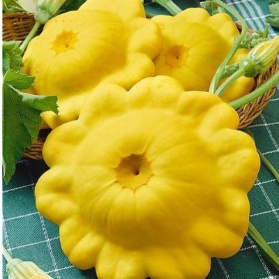 Патисон Жовтий диск (Садиба)10шт