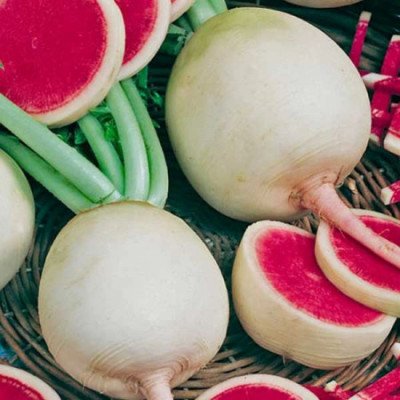 Редька Ред квін (Садиба) 0.5г