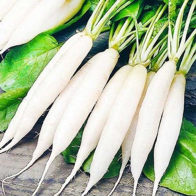 Редиска Льодяна бурулька (Елітсорт) 3 г