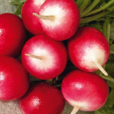 Редиска Краков`янка (Елітсорт) 3 г