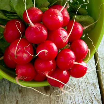 Редиска Сакса (Елітсорт) 3 г