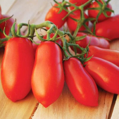 Томат Обжора (Флора маркет) 0.1 г