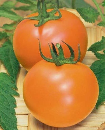 Томат Персик (Флора маркет) 0.1 г