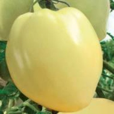 Томат Волове серце Біле (Флора маркет) 0.1 г