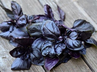 Базилік фіолетовий (Садиба) 0.3г