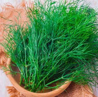 Кріп кущовий (Елітсорт) 3 г