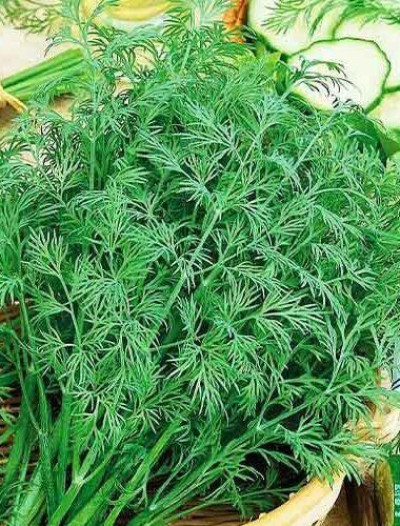 Кріп Алігатор (Елітсорт) 3 г