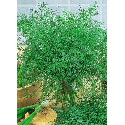 Кріп Грибовський (Елітсорт) 3 г