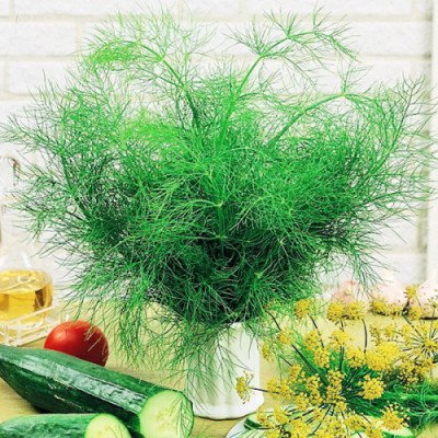 Кріп Амброзія (Елітсорт) 3 г