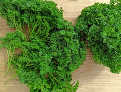 Петрушка листова кучерява Фриз (Садиба) 1.5г